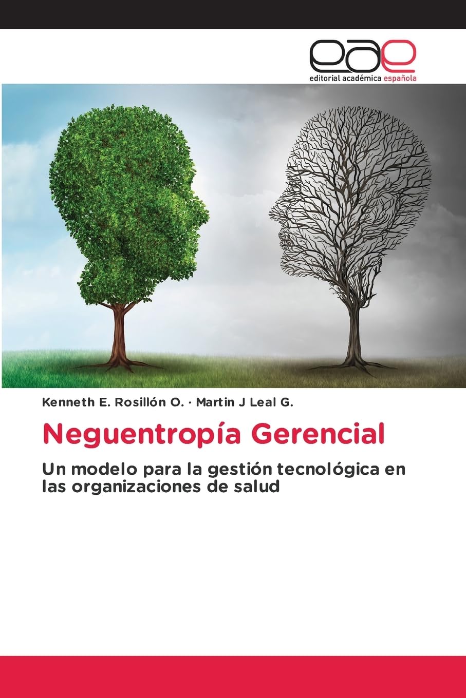 Neguentropía Gerencial en las organizaciones de la Salud